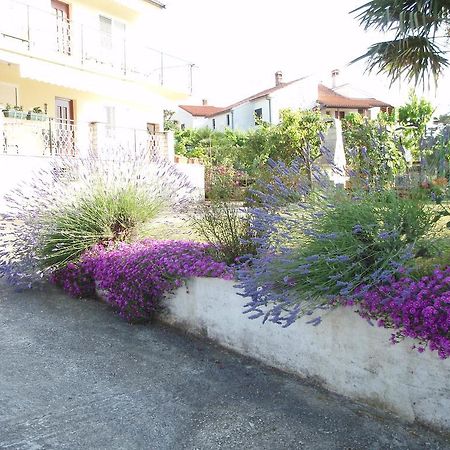 Guest House Jasmin Rovinj Buitenkant foto