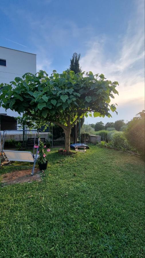 Guest House Jasmin Rovinj Buitenkant foto