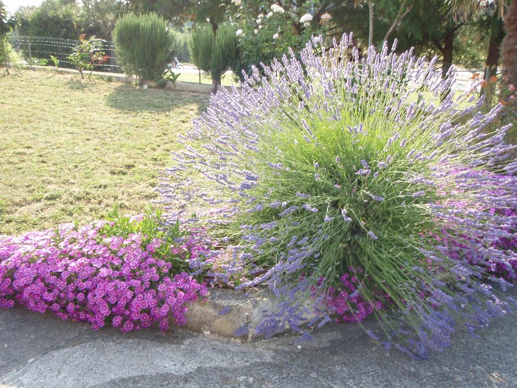 Guest House Jasmin Rovinj Buitenkant foto
